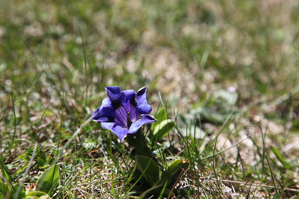 Creux du Van (31.05.2019)