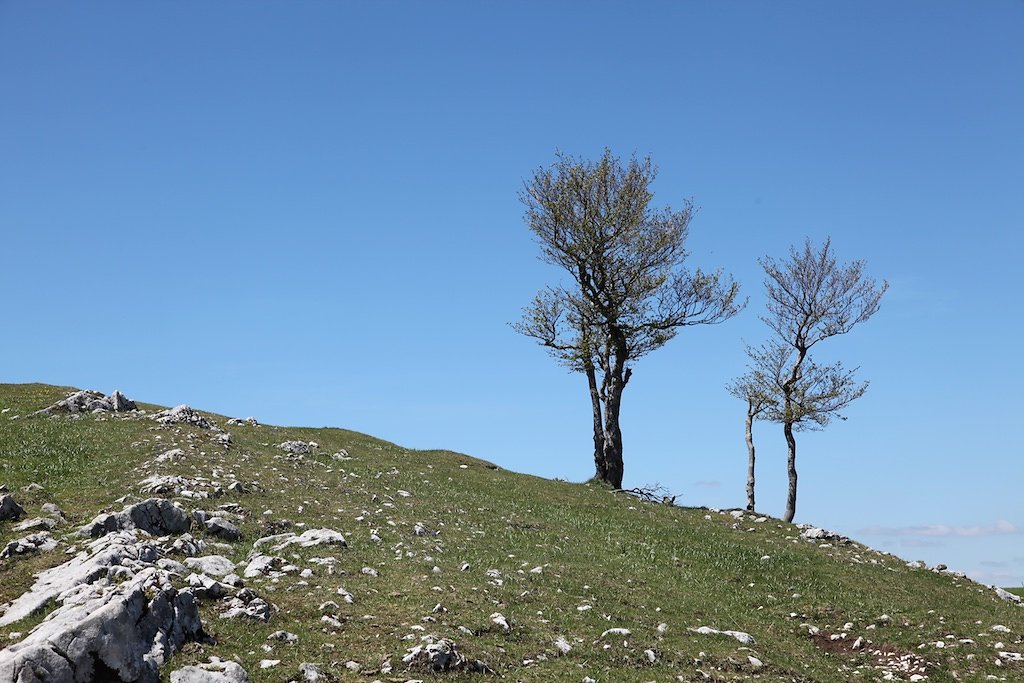 Creux du Van (31.05.2019)