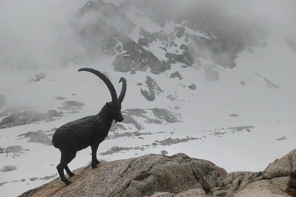 CAS: Cabane du Trient (15-16.06.2019)