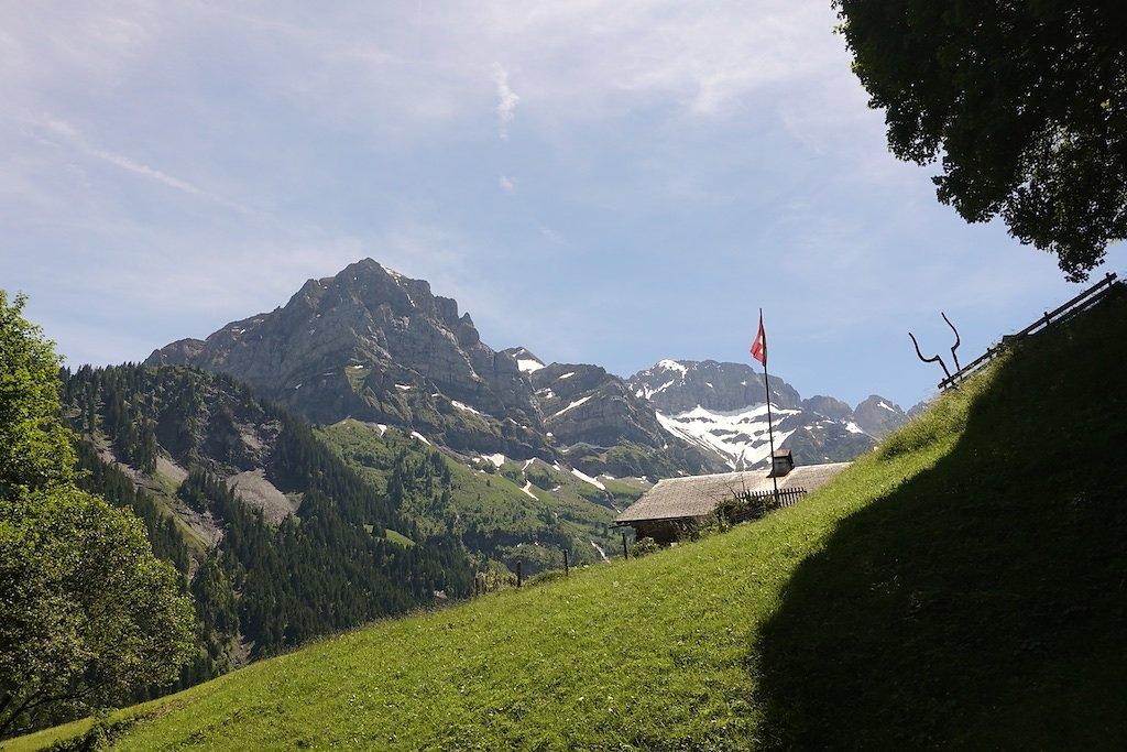 Grand-Paradis, Barme, La Berthe, Col de Cou (23.06.2019)