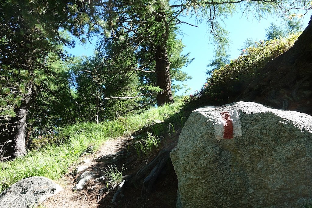 Cabane de la Tza (29.06.2019)