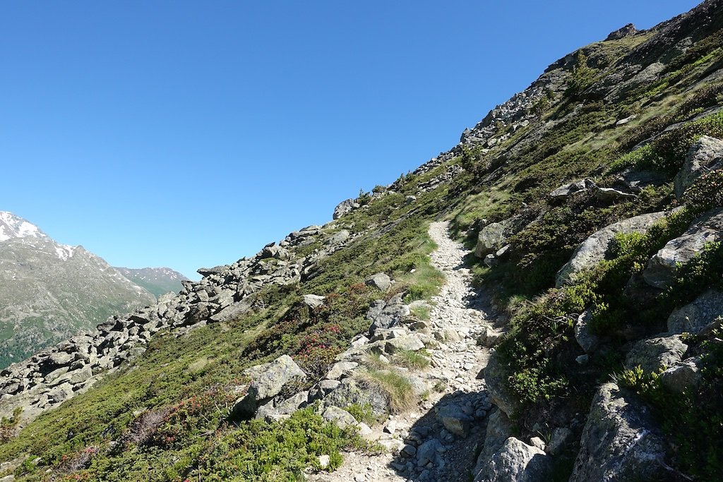 Cabane de la Tza (29.06.2019)