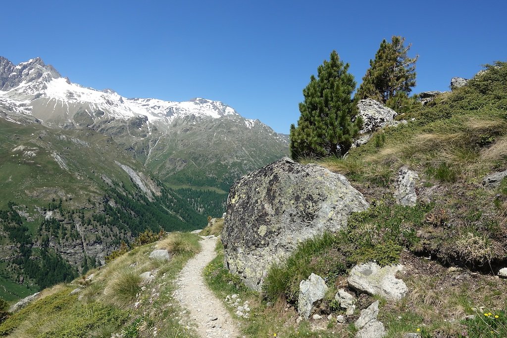 Cabane de la Tza (29.06.2019)