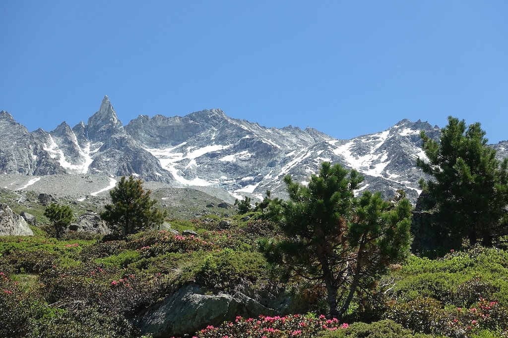 Cabane de la Tza (29.06.2019)