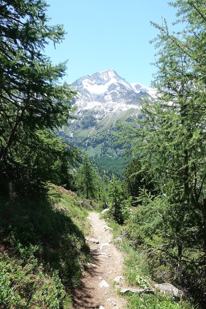 Cabane de la Tza (29.06.2019)