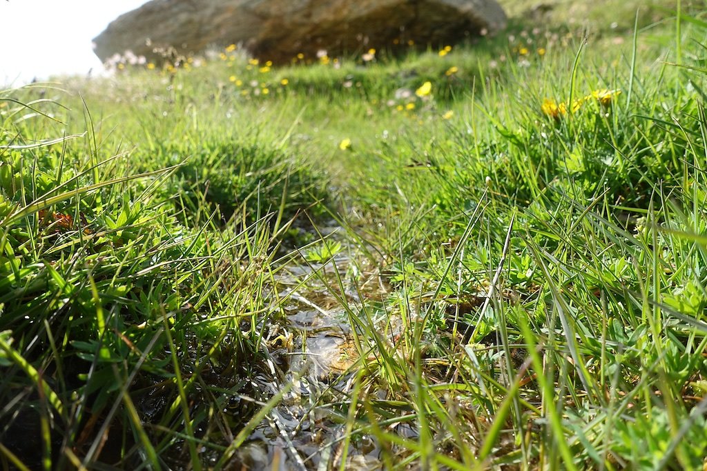 Zinal, Cabane d'Arpitettaz, Col de Milon, Zinal (01-02.08.2019)