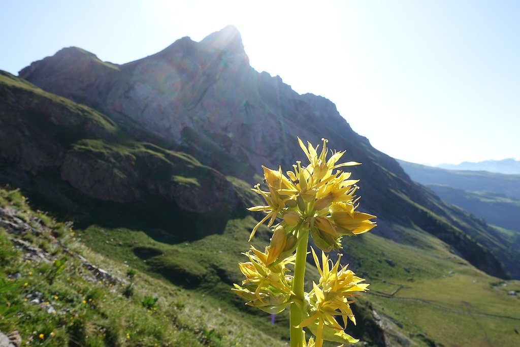 Barrage de Zeuzier, Plan des Roses, Col du Rawil, Wildstrubelhütte, Plaine Morte (04.08.2019)