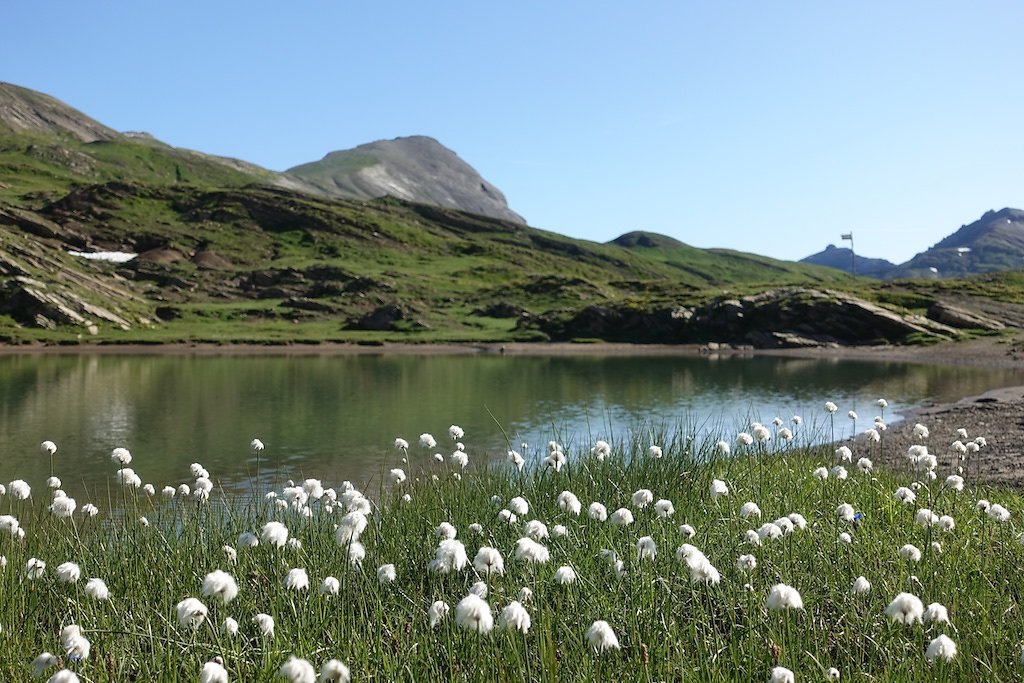 Barrage de Zeuzier, Plan des Roses, Col du Rawil, Wildstrubelhütte, Plaine Morte (04.08.2019)