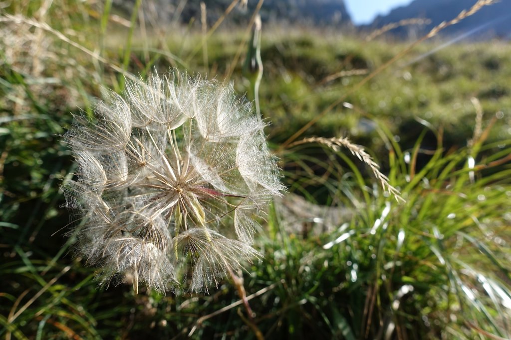 Refuge de Pierredar (24.08.2019)