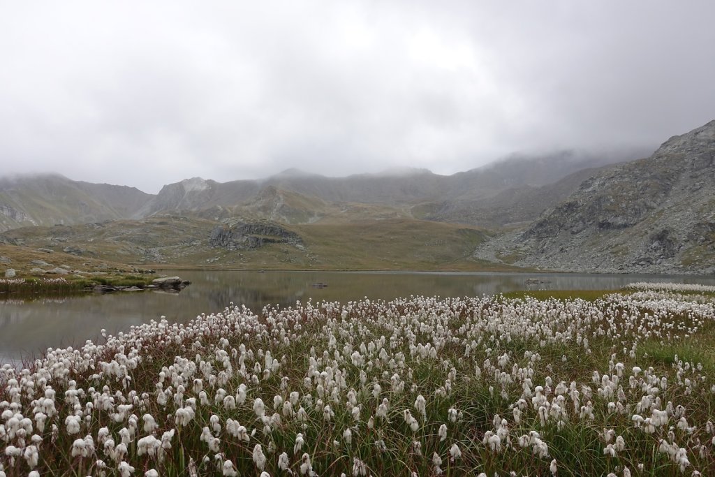 Crêt du Midi, Lac du Louché (07.09.2019)