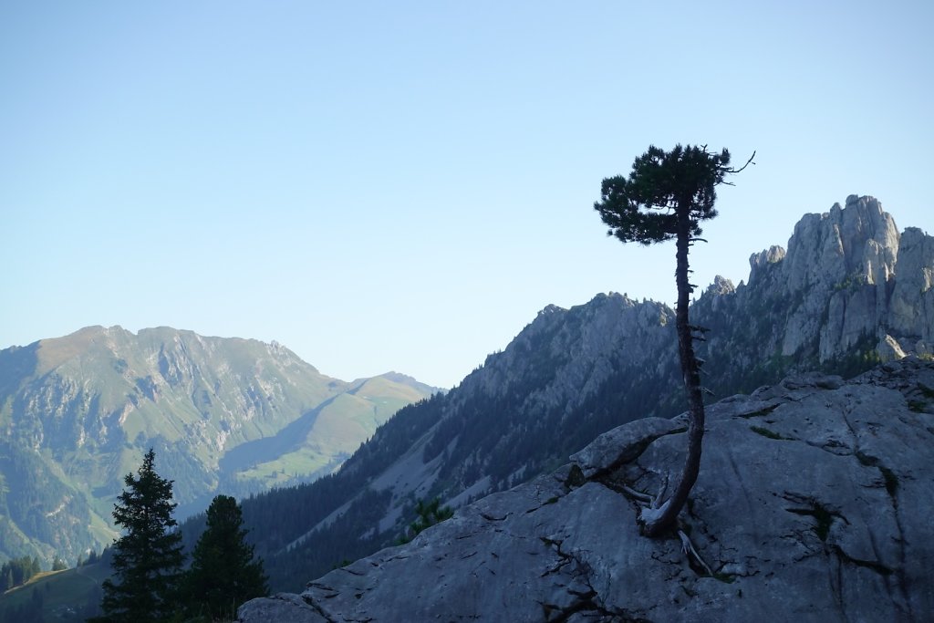 Gastlosen (15.09.2019)