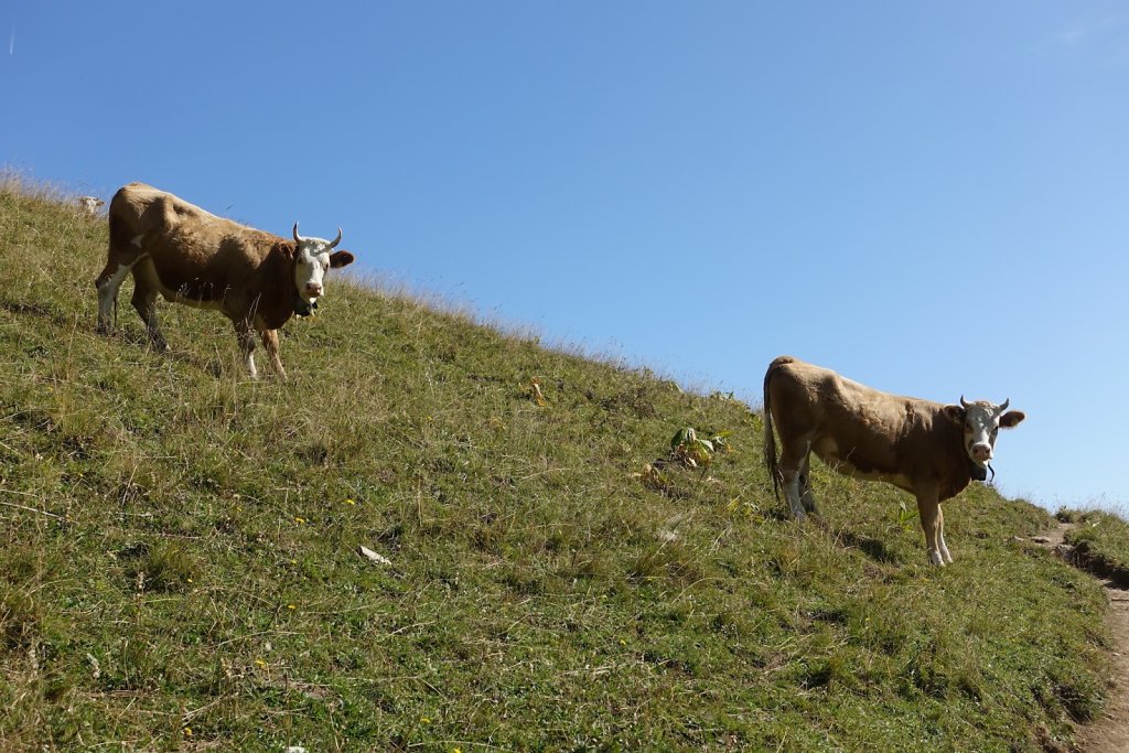 Gastlosen (15.09.2019)