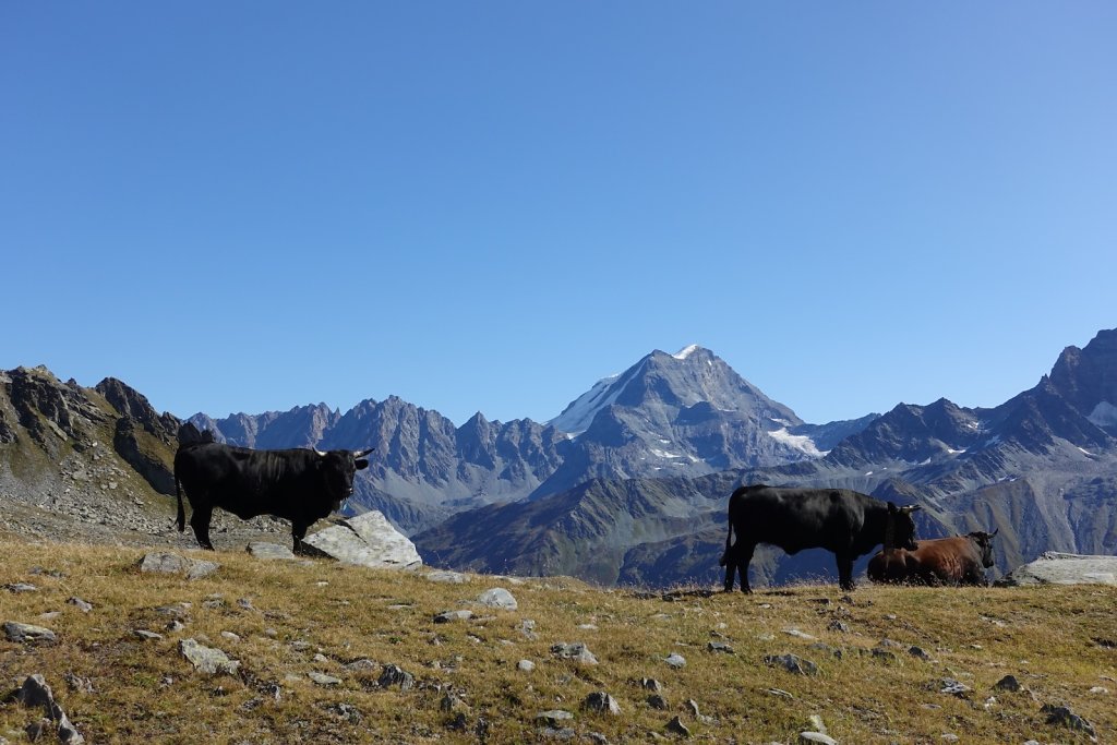 St-Bernard, Col des Chevaux, Bastillon, Lac de Fenêtre, Fenêtre de Ferret (21.09.2019)