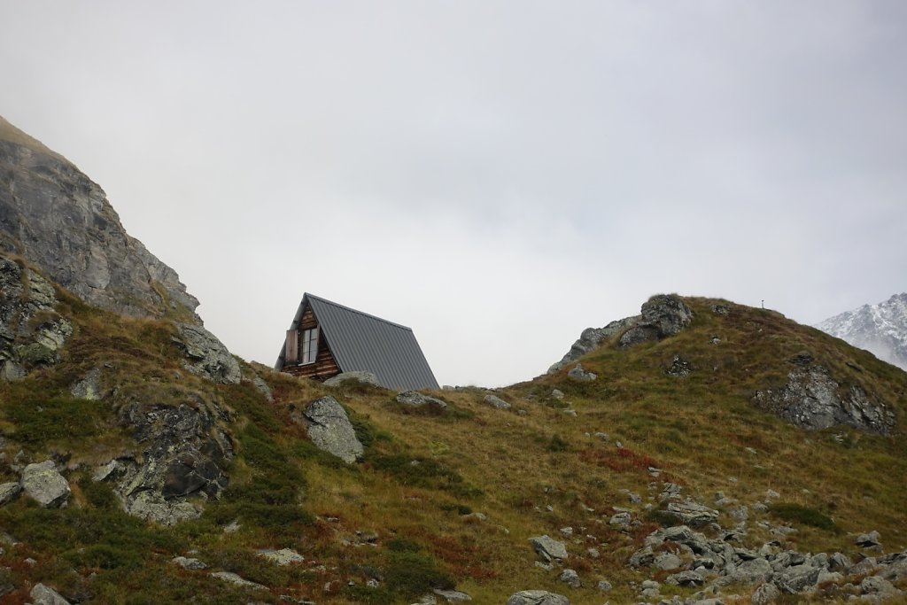 Louvie (06.10.2019)