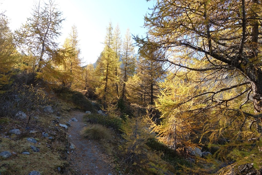 Bricola (27.10.2019)