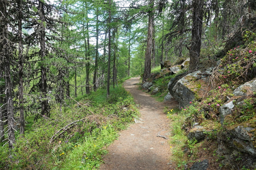 Zermatt (26-28.06.2020)