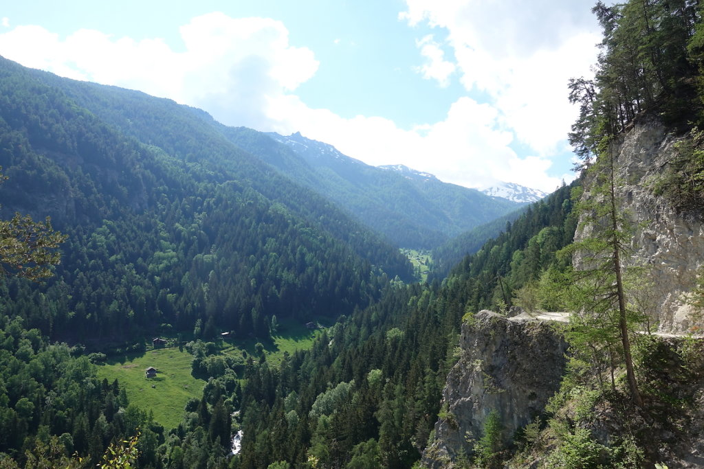 Mayens de Réchy, Alpage de Bouzerou (31.05.2020)