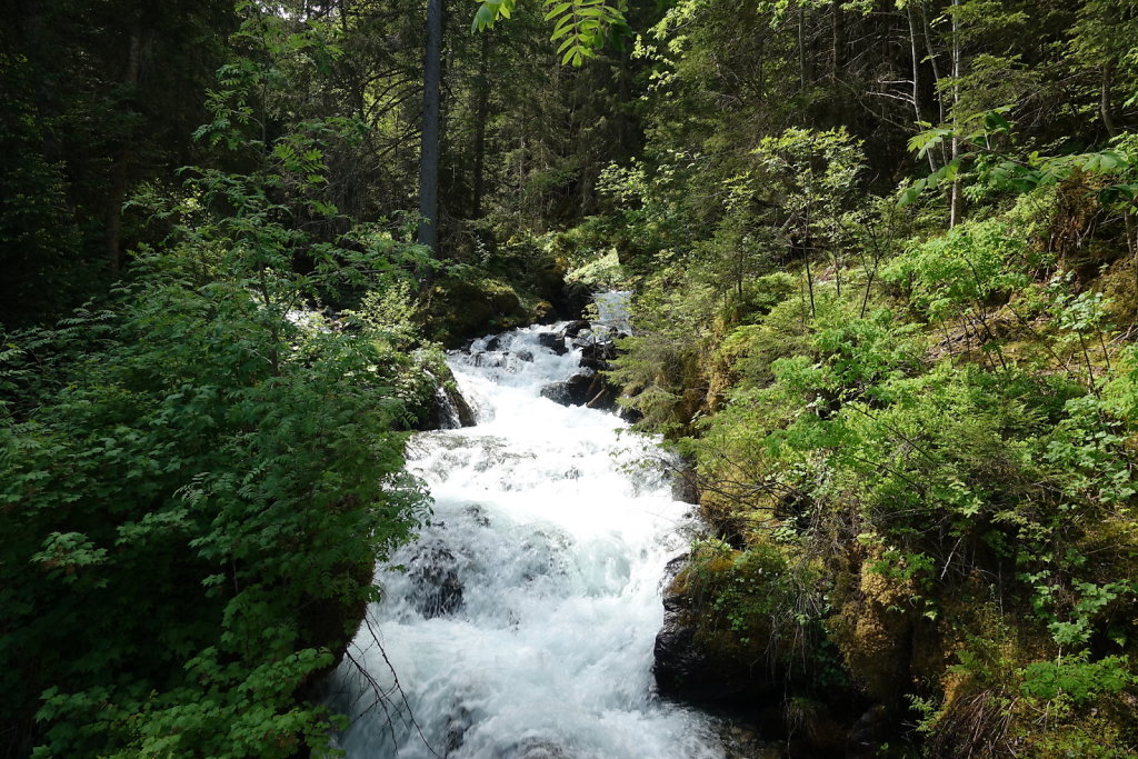 Mayens de Réchy, Alpage de Bouzerou (31.05.2020)