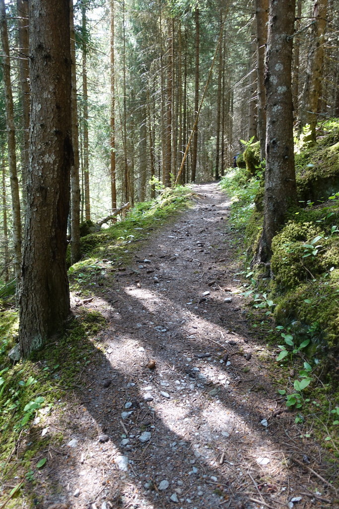 Mayens de Réchy, Alpage de Bouzerou (31.05.2020)