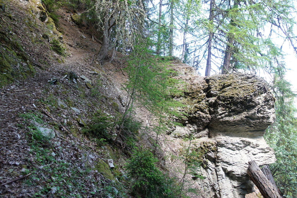 Mayens de Réchy, Alpage de Bouzerou (31.05.2020)