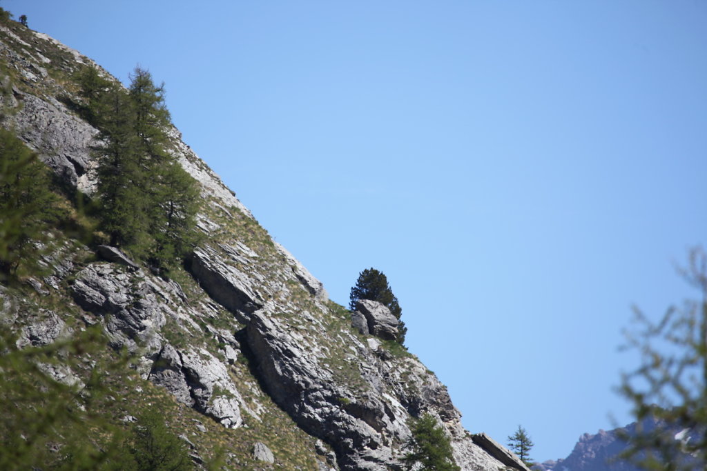 La Gouille, Lac Bleu, La Sage (29.05.2020)