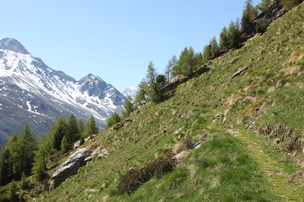 La Gouille, Lac Bleu, La Sage (29.05.2020)