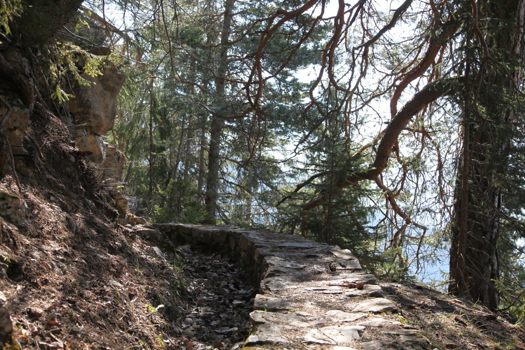 Bisse du Tsandra (03.04.2020)