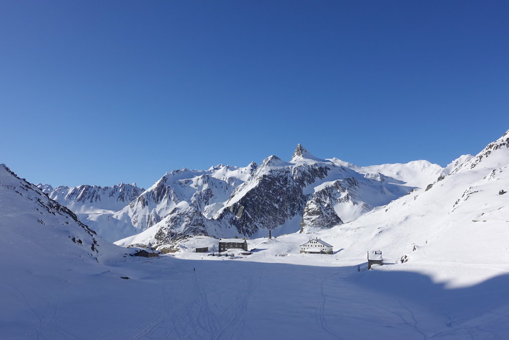 Hospice du St-Bernard (02.01.2020)