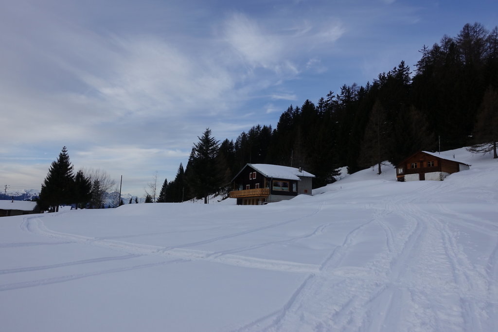 Le Torgneu Mayens de My (08.02.2020)