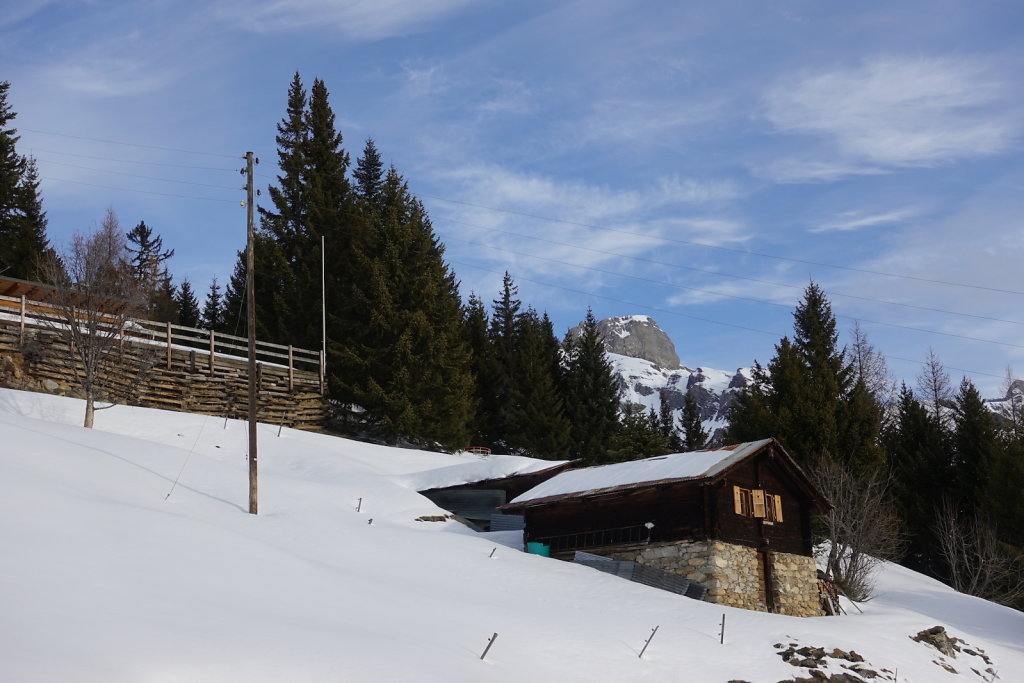 Le Torgneu Mayens de My (08.02.2020)