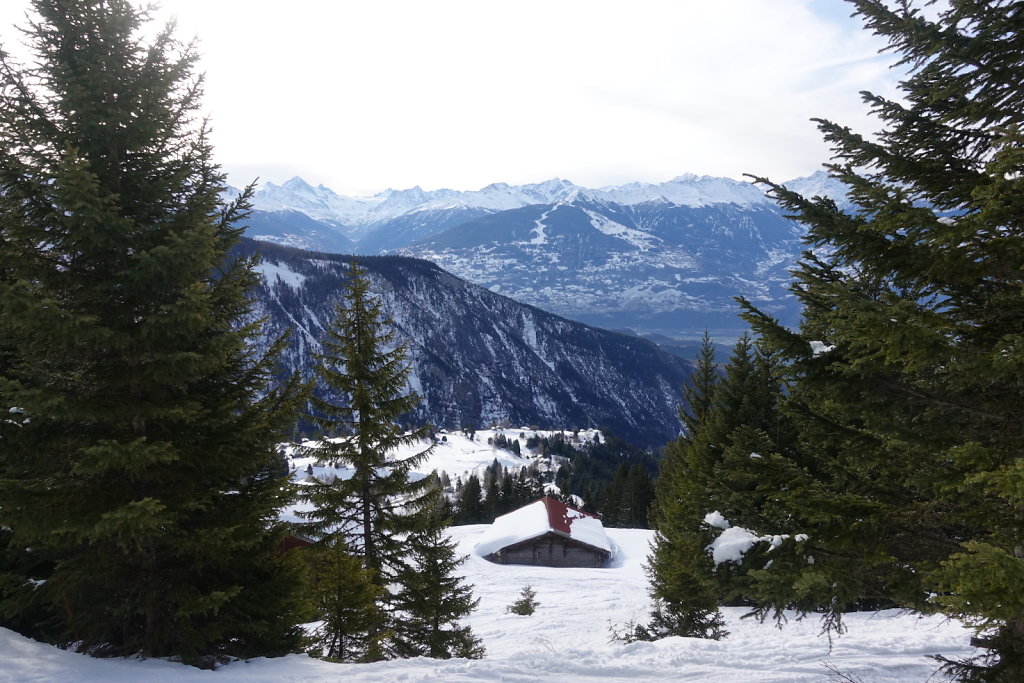 Le Torgneu Mayens de My (08.02.2020)