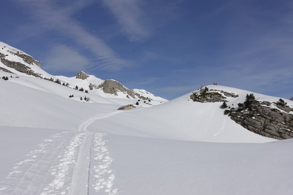 Le Torgneu Mayens de My (08.02.2020)
