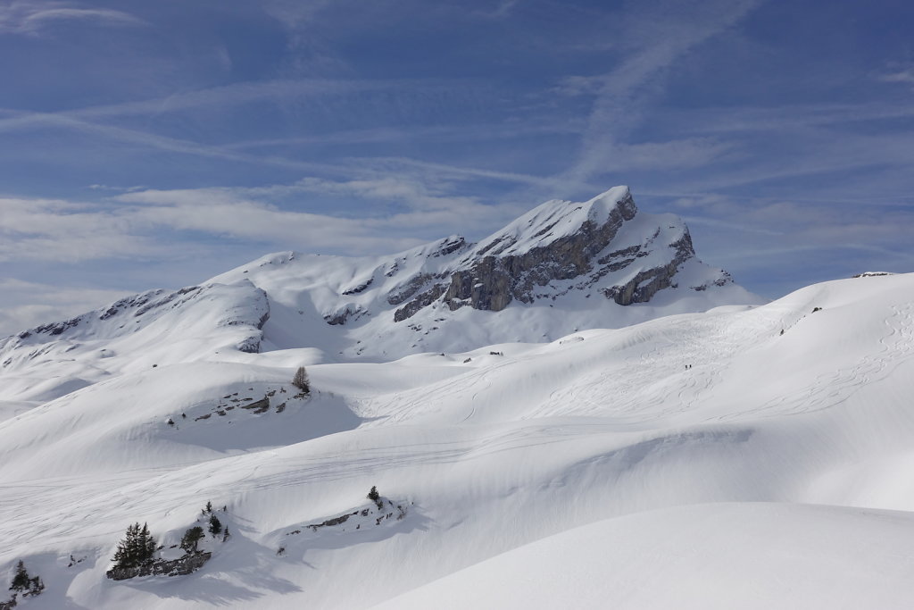 Le Torgneu Mayens de My (08.02.2020)