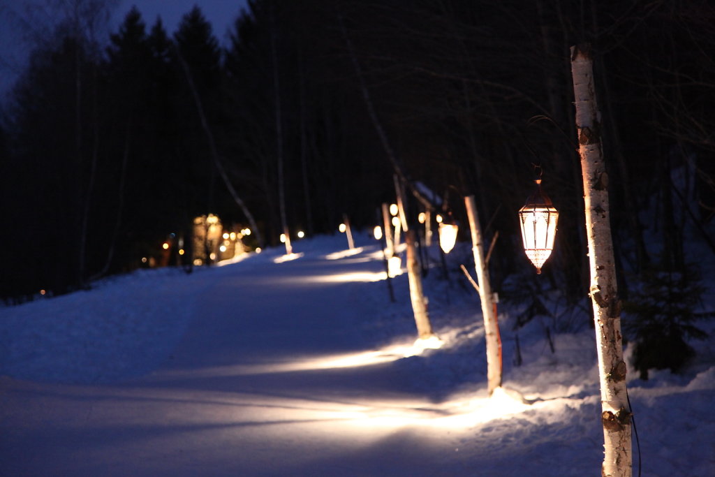 Chemin des lanternes, Montana (12.01.2020)