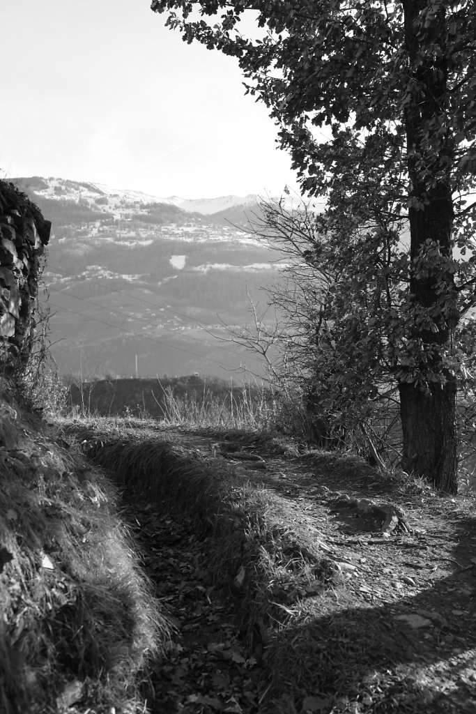 Montorge (03.01.2020)