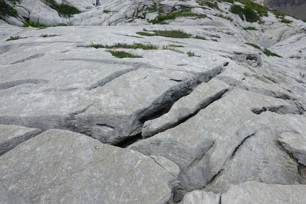 Cabane de Prarochet (25.07.2020)