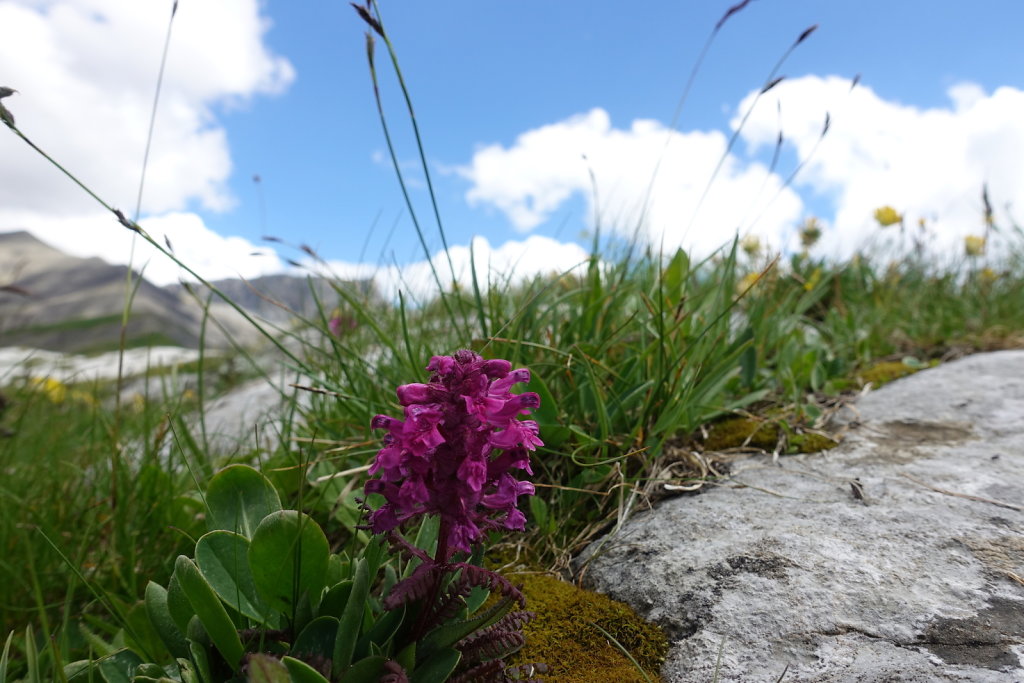 Cabane de Prarochet (25.07.2020)