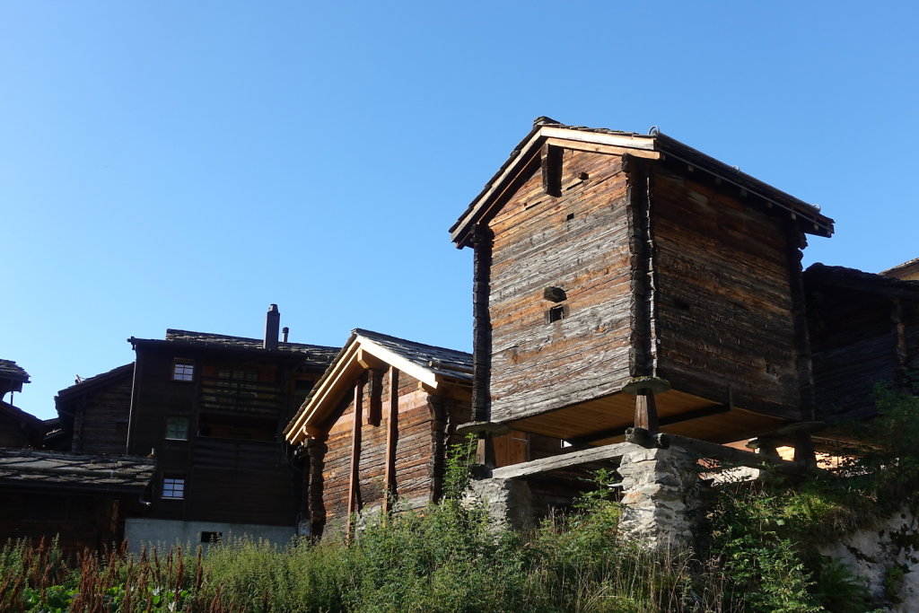 Belalp, Foggenhorn (15.08.2020)