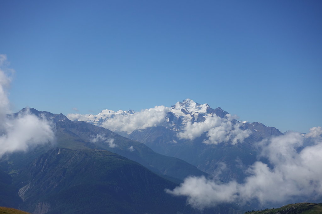 Belalp, Foggenhorn (15.08.2020)