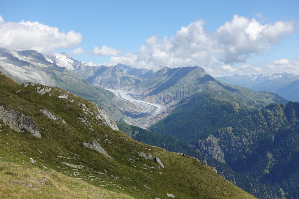 Belalp, Foggenhorn (15.08.2020)