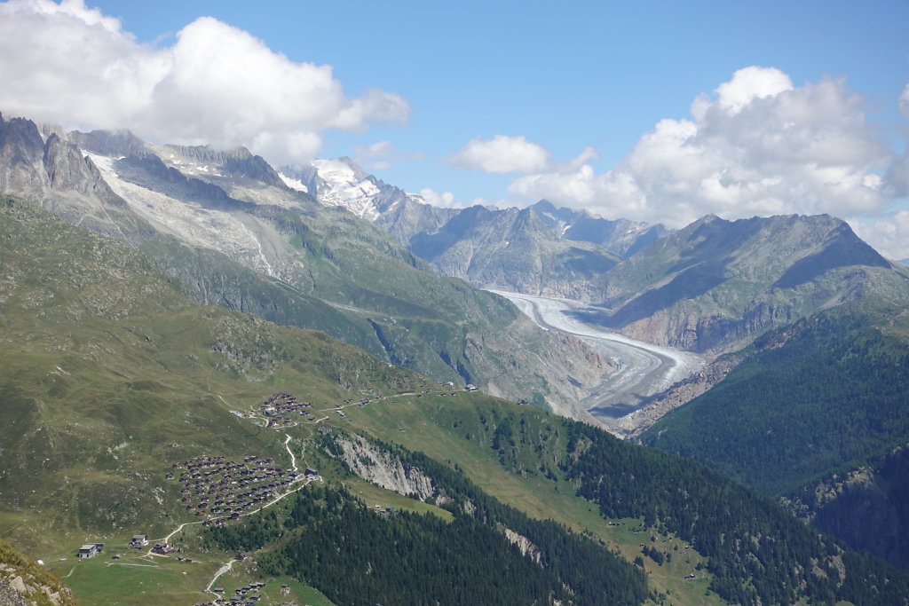 Belalp, Foggenhorn (15.08.2020)