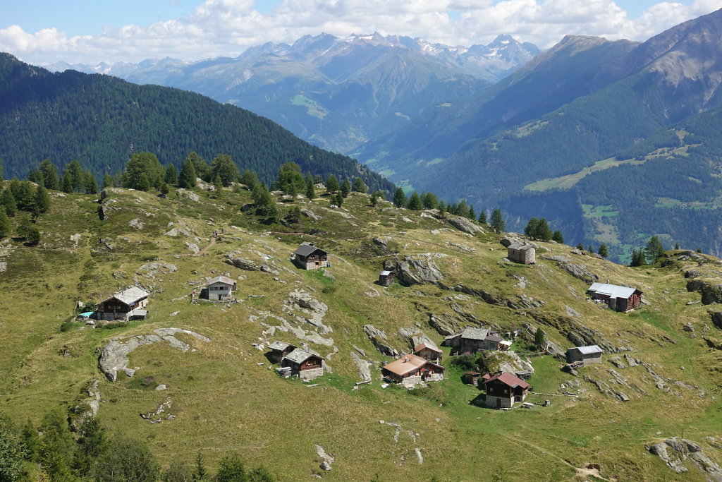 Belalp, Foggenhorn (15.08.2020)