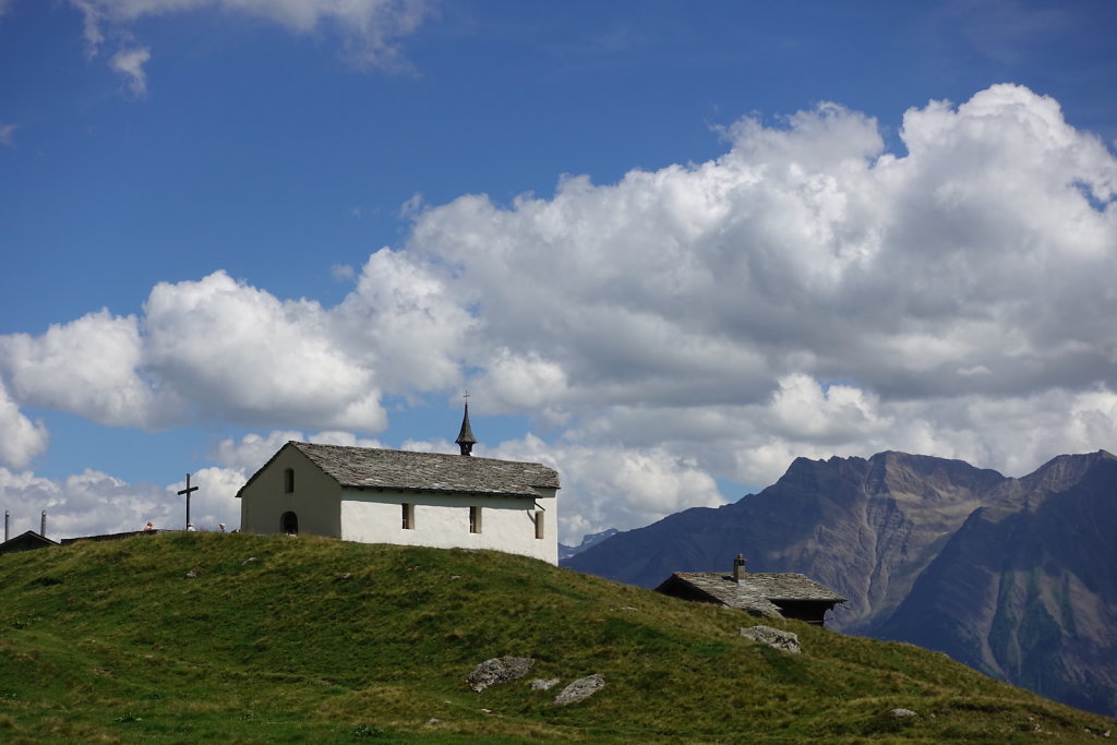 Belalp, Foggenhorn (15.08.2020)