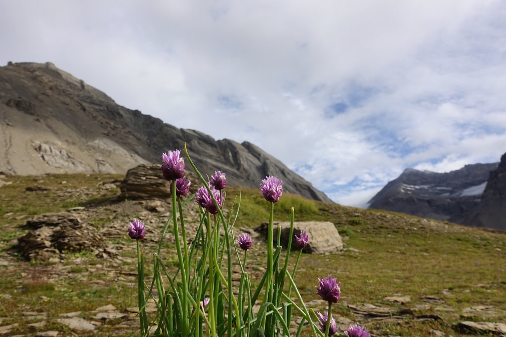 Col du Sanetsch, Grand Gouilles, Col des Audannes, Pas de Maimbré (23.08.2020)