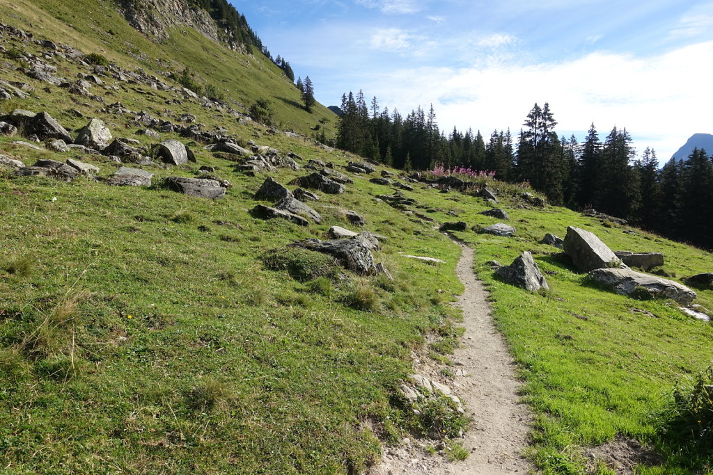 Lac Retaud, La Palette (25.08.2020)