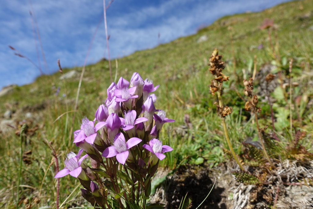 Bendolla, Cabane des Becs de Bosson (26.08.2020)