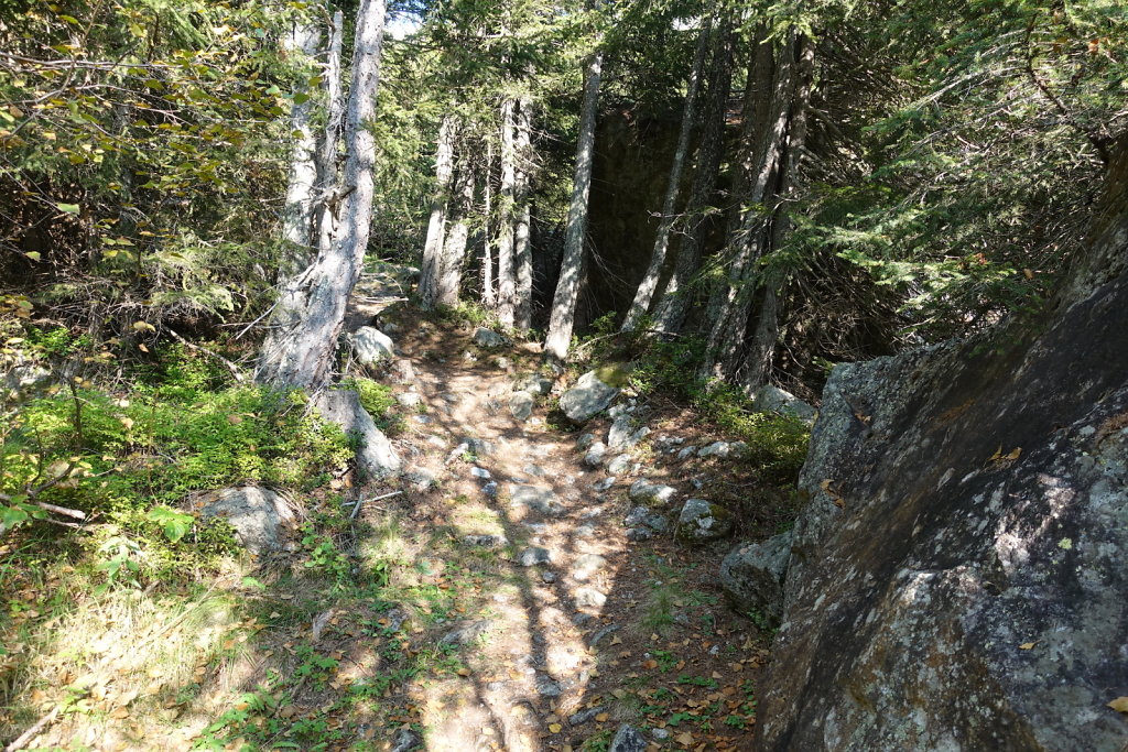 Cabane de Saleinaz (13-14.09.2020)