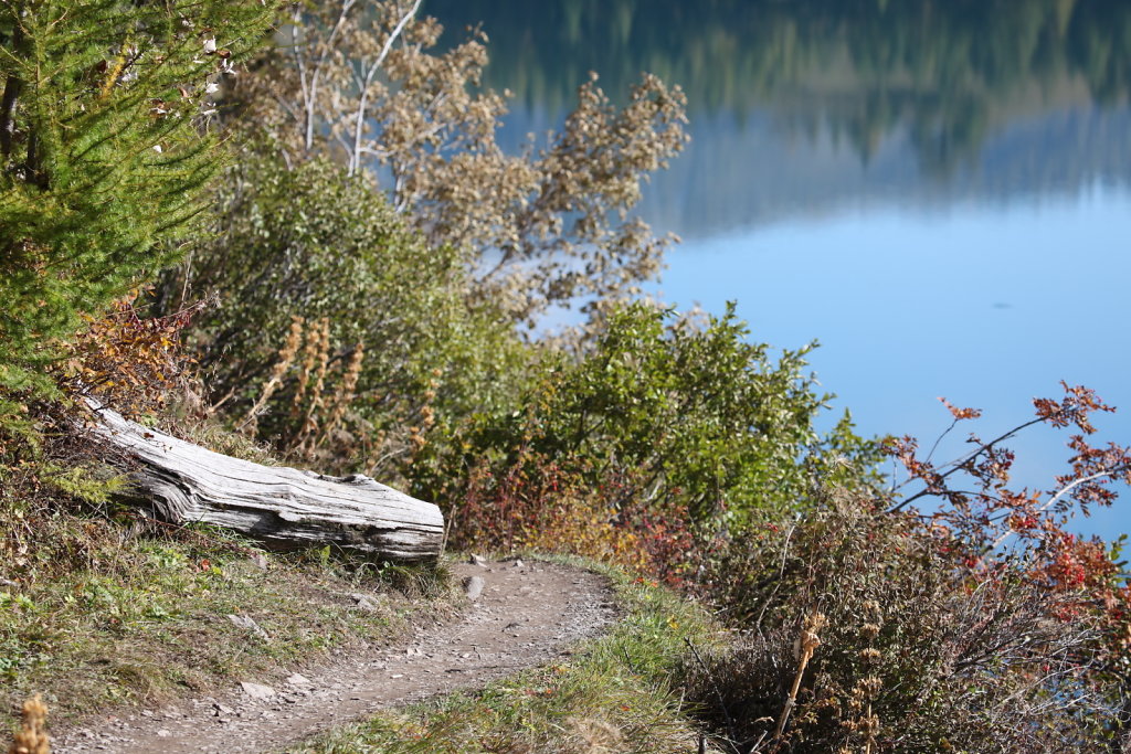 Barrage de Tseusier (18.10.2020)