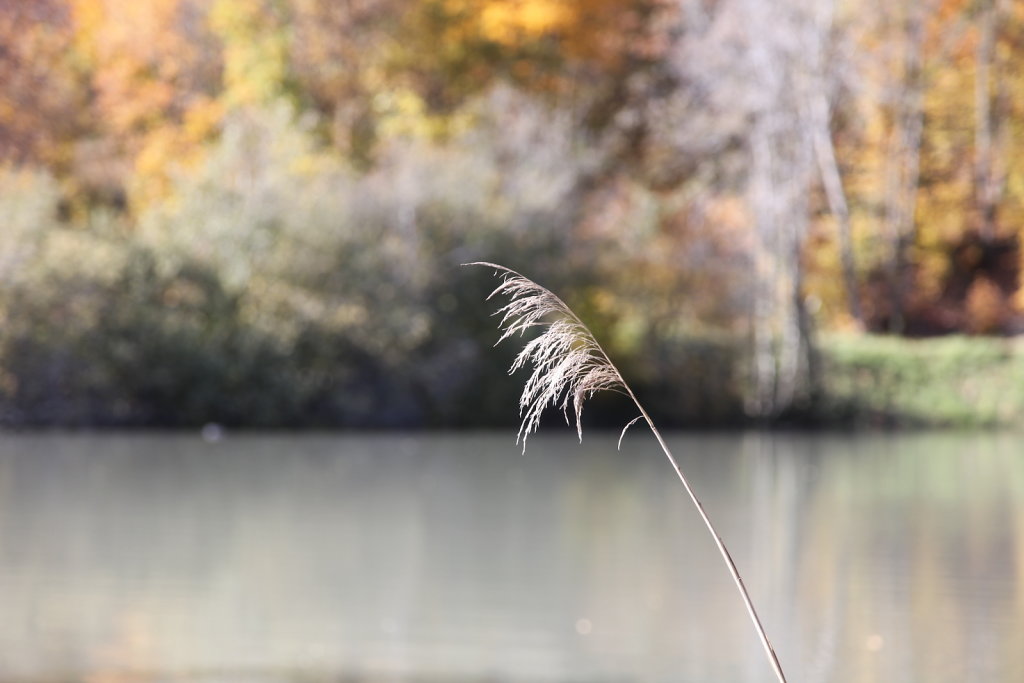Savièse (24.10.2020)