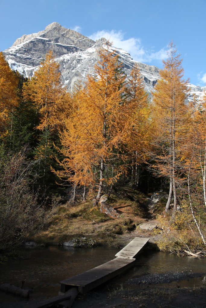 Derborence (25.10.2020)